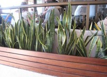 Kwikfynd Indoor Planting
myolavic