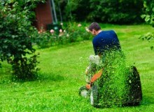 Kwikfynd Lawn Mowing
myolavic